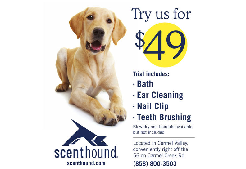Scenthound Now Open | Piazza Carmel