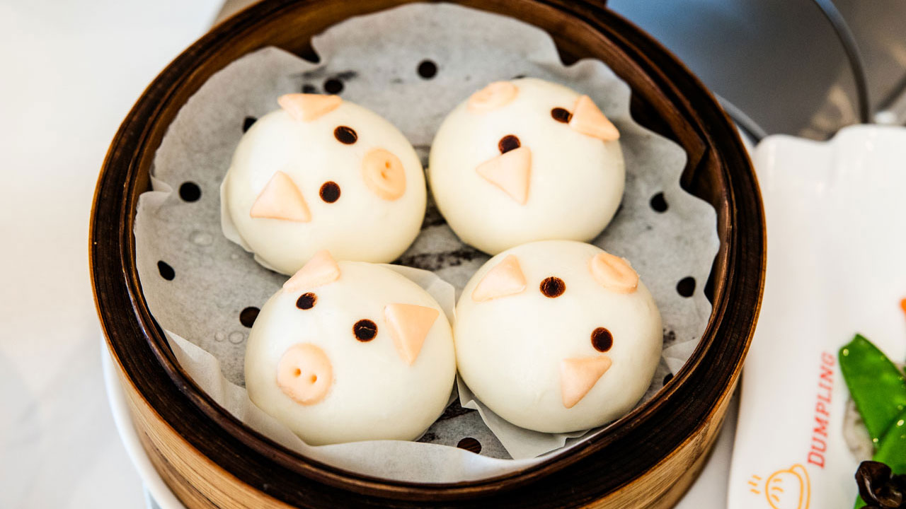 Super Dumpling - Fostering the American Dream